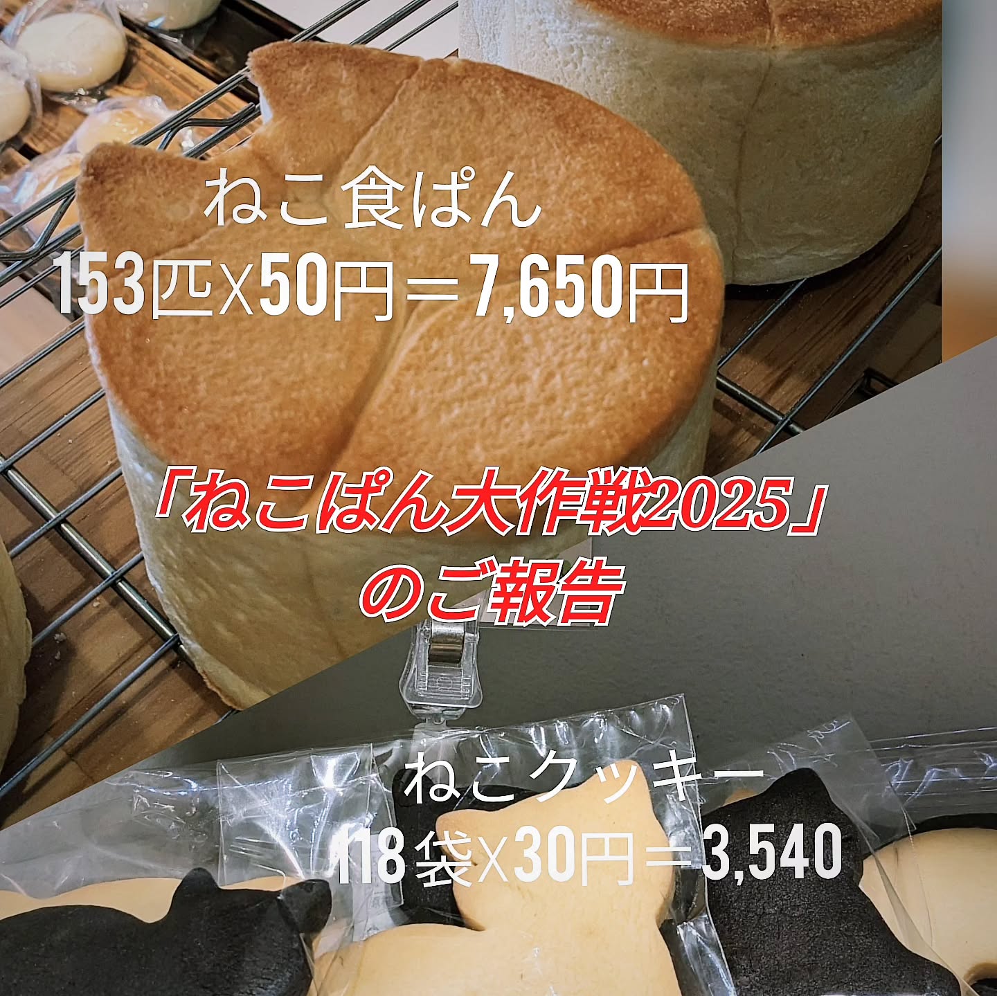 【寄付しました！ご報告です】ねこぱん大作戦2025！ねこ食ぱん、ねこクッキー、たくさんのお買い上げ、ありがとうございました一ヶ月の集計しました売上の一部を保護ねこ団体「保護猫広場 ラブとハッピー 府中支部」さんに寄付させていただきます！ねこ食ぱん　　153匹☓50円＝7,650円ねこクッキー　　118袋＝3,540円合計　11,190円おーーー密かな目標だった、一万円寄付達成出来ました皆さんのご好意が、少しでも保護ねこちゃん達のお役に立ててもらえればと思います🥰ありがとうこさいましたまたやります！#pino #パン #パン屋 #調布 #国領 #調布パン屋⁡#バゲット #bread #bakery #京王線 #無添加パン⁡#おいしいパン #おいしいパン屋さん #食パン⁡#クリームパン #国産小麦 #パン好きな人と繋がりたい #ねこぱん大作戦2025