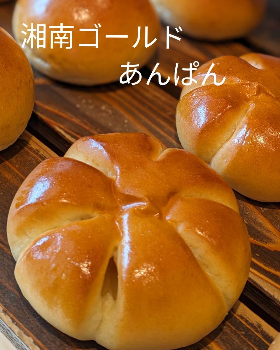 今週のおすすめは、「湘南ゴールドあんぱん」です日本の夏はサッパリと柑橘系で乗り越えよう！パン業界の湘南ボーイ😎神奈川県で品種改良された、オレンジ「湘南ゴールド」の果皮と果汁を白あんに練り込み、この湘南ゴールドあんをフワフワの菓子生地で包み込みました程よい酸味と甘みが軽い食感のパン生地とよく合います️キャッチコピーは「幸せを呼ぶ新感覚オレンジ」！ぜひお試しください今週のお楽しみクーポンは...「湘南ゴールドあんぱん」を抽選で15名様にプレゼントクーポンの利用期間は来週の金曜日までです。クーポンで当たったパンが売り切れの場合は引き換えができませんので、引き換えには余裕を持ってお早めにご来店くださいプロフィールのURLからお友だち登録ができます！#pino #パン #パン屋 #調布 #国領 #調布パン屋⁡#バゲット #bread #bakery #京王線 #無添加パン⁡#おいしいパン #おいしいパン屋さん #食パン⁡#クリームパン #国産小麦 #パン好きな人と繋がりたい #湘南ゴールド #あんぱん