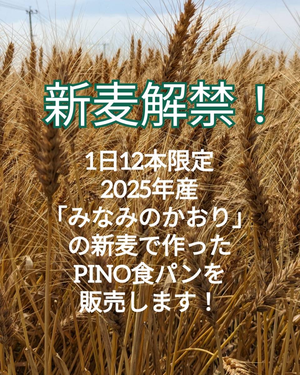 【新麦解禁です！】新麦とは、その年に収穫した小麦を速やかに製粉した、とれたて・挽きたての小麦のことです。 通常、その年に収穫した小麦は水分が多いため、寝かせてから翌年明けぐらいから流通します🚰特別に製粉した新麦が届きました！50㎏限定でPINO食パンを1日12本限定で焼き上げます2025年産の新麦を一足お先に味わってください毎日9:00頃の焼き上がりになります新麦がなくなり次第終了となります！お楽しみクーポン今週は...「クリームパン」を抽選15名様にプレゼントさせていただきますクーポンの利用期間は来週の金曜日までとなっておりますので、ご注意ください️クーポンで当たったパンが売り切れの場合は引き換えできませんので、引き換えは余裕を持ってお早めにご来店ください。※昨日配信させていただいたクーポンは本日から抽選可能です。ぜひご参加ください。#pino #パン #パン屋 #調布 #国領 #調布パン屋⁡#バゲット #bread #bakery #京王線 #無添加パン⁡#おいしいパン #おいしいパン屋さん #食パン⁡#クリームパン #国産小麦 #パン好きな人と繋がりたい