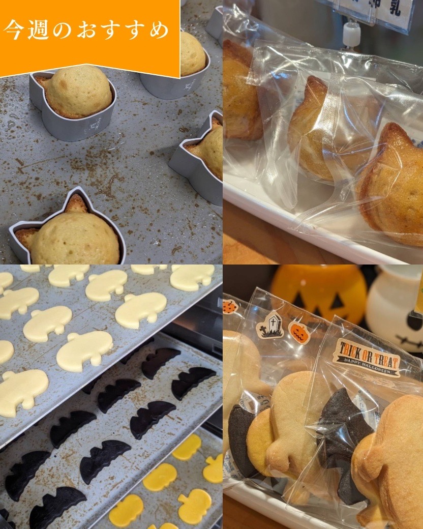 ねこマドレーヌ&ハロウィンクッキープレゼントにオススメ！10月限定で、かわいい焼き菓子を販売中です️ねこマドレーヌしっとりリッチなマドレーヌをねこ型で焼き上げました。1匹につき¥20を保護ねこ団体「保護猫広場 ラブとハッピー 府中支部」さんに寄付させていただきます。楽しく、美味しく食べて、保護猫ちゃん達を助けよう！ハロウィンクッキー・・・プレーン・・・かぼちゃ🦇・・・チョコ味のクッキーです！どちらも10月31日までの販売です！ぜひお試しくださいね🥳今週のお楽しみクーポンは...「メロンパン」を抽選で15名様にプレゼントクーポンの利用期間は来週の金曜日までです。クーポンで当たったパンが売り切れの場合は引き換えできませんので、余裕を持ってお早めにご来店ください。プロフィールのURLからお友だち登録ができます！#pino #パン #パン屋 #調布 #国領 #調布パン屋⁡#バゲット #bread #bakery #京王線 #無添加パン⁡#おいしいパン #おいしいパン屋さん #食パン⁡#クリームパン #国産小麦 #パン好きな人と繋がりたい