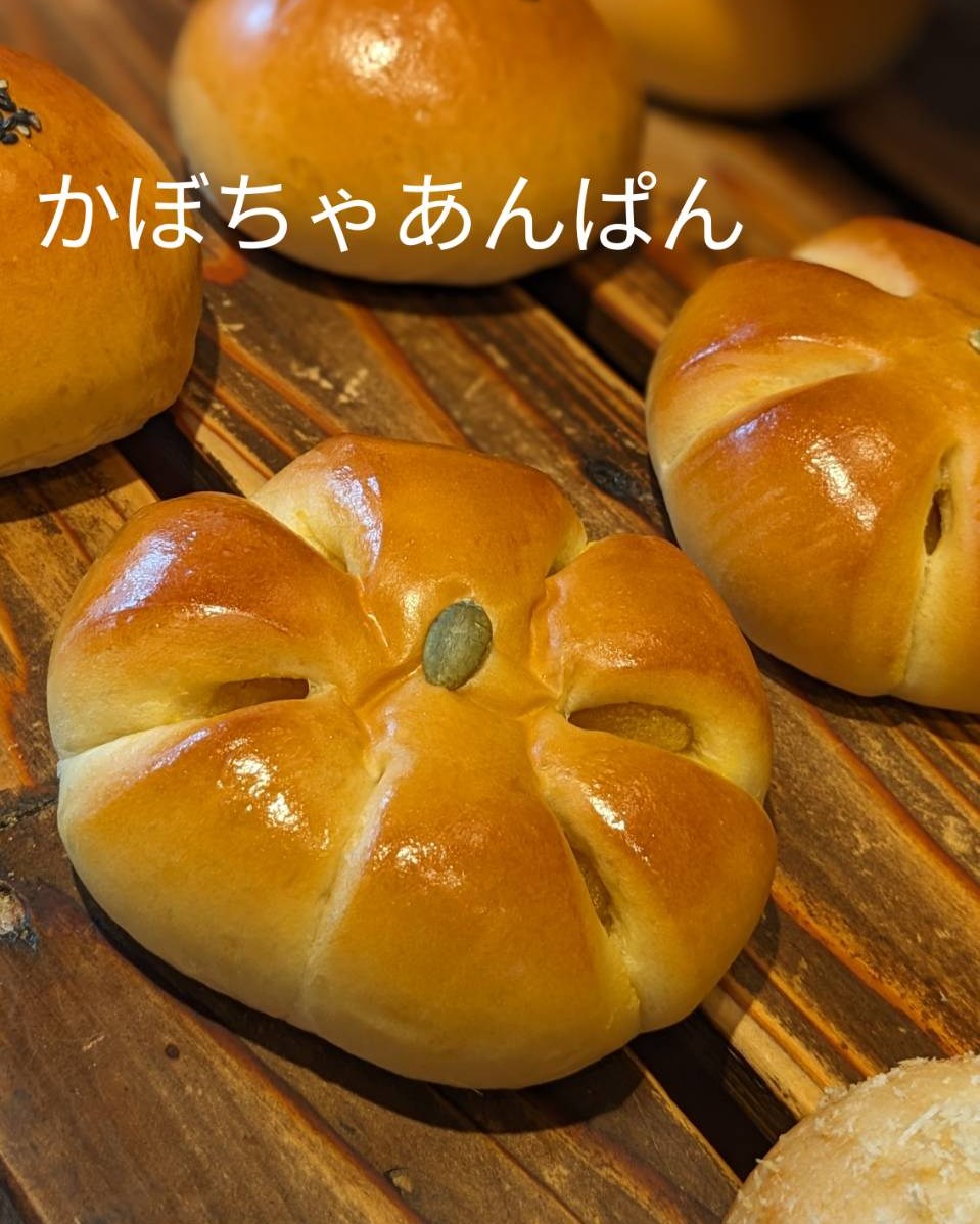 今週のおすすめは「かぼちゃあんぱん」です北海道産「えびすかぼちゃ」と白あんを合わせた、自家製かぼちゃあんをフワフワな菓子生地でタップリと包み込みました🤤かぼちゃの自然な甘みが良いですね！ハロウィンまでの限定販売です※材料の状況次第で早く終売する場合もあります。#pino #パン #パン屋 #調布 #国領 #調布パン屋⁡#バゲット #bread #bakery #京王線 #無添加パン⁡#おいしいパン #おいしいパン屋さん #食パン⁡#クリームパン #国産小麦 #パン好きな人と繋がりたい #かぼちゃあんぱん #秋パン